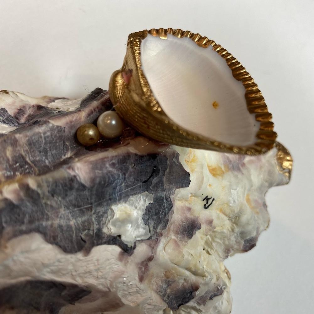 Seahorse oyster shell ring/trinket dish Handmade Coastal gifts - Picture 8 of 13